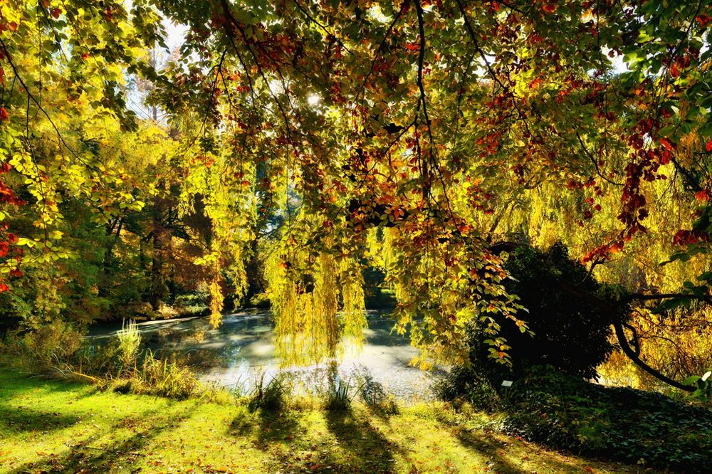 Schönen Herbsttag Bilder Kostenlos:  Drawing a Beautiful Autumn Day