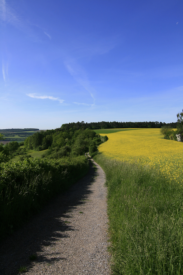 An einem schönen Maitag in Bad Mergentheim (Bayern)