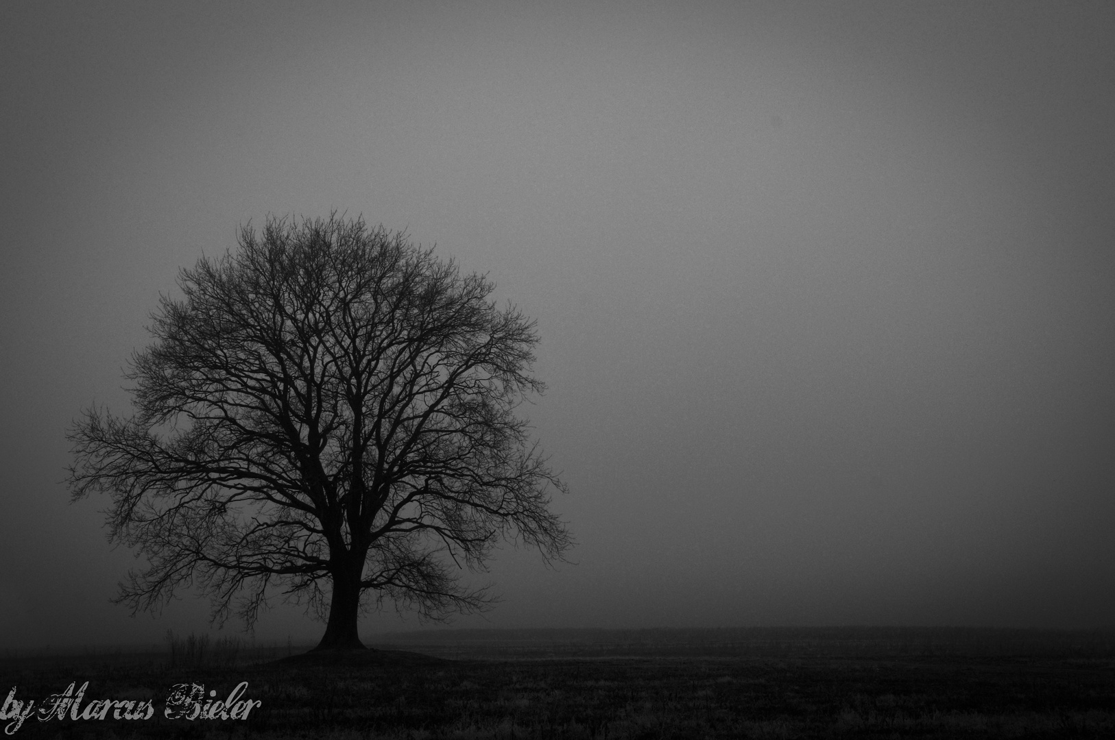 An einem (schönen) morgen