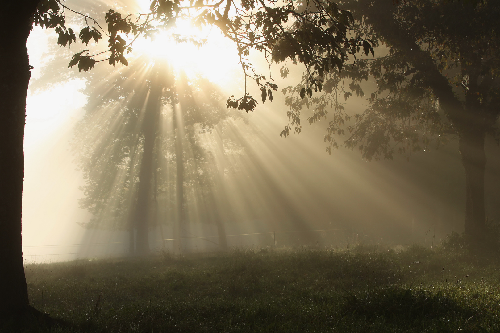 an einem schönen sommermorgen