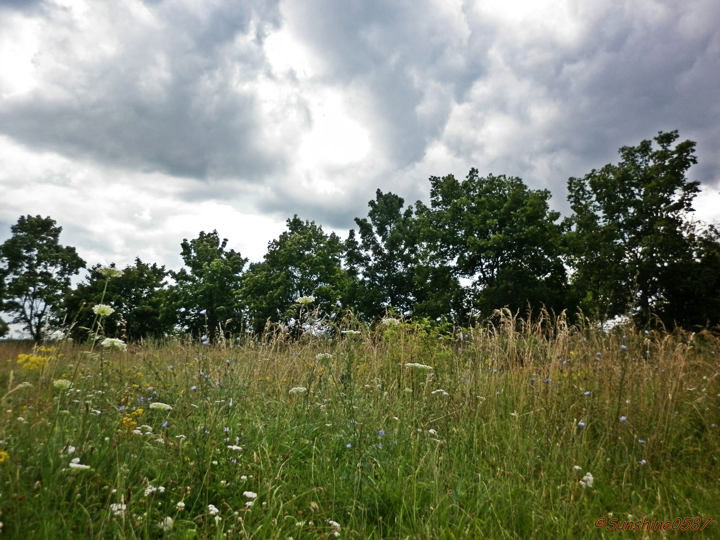 An einem schönen Sommertag