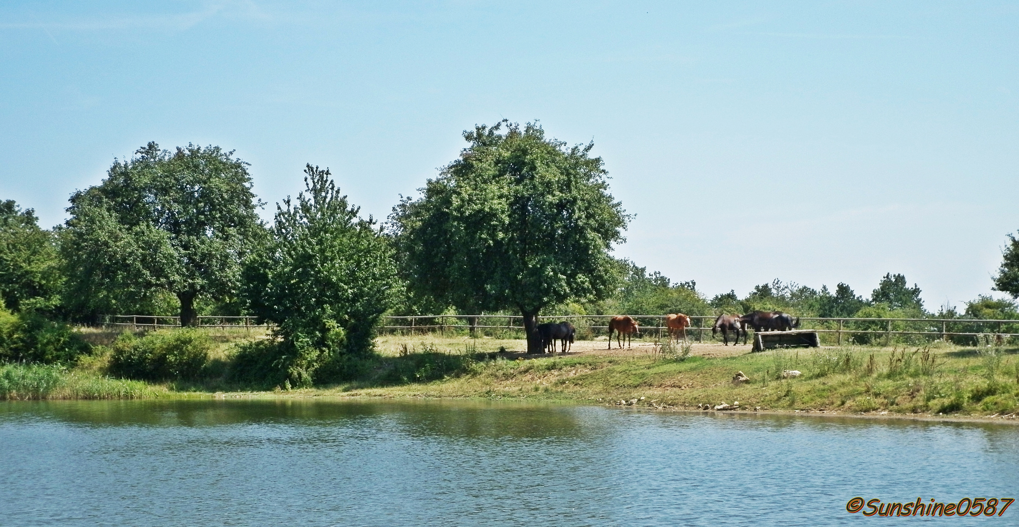 An einem schönen Sommertag