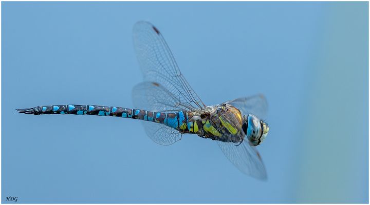 An einem See (1 von 3) ...