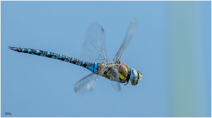 An einem See (2 von 3) ... 