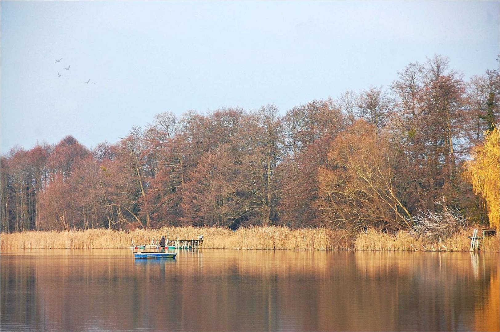 an einem See in Brandenburg