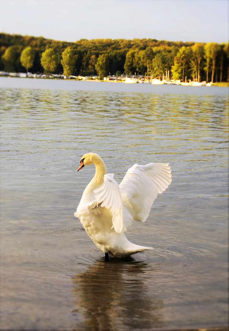 An einem See in Brandenburg