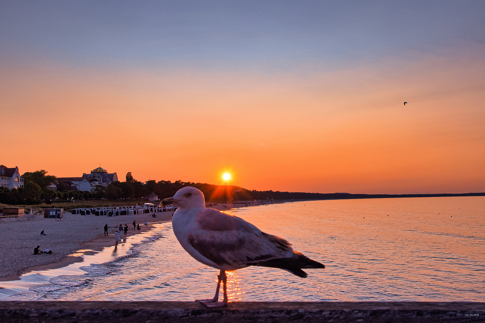An einem Sommerabend Foto & Bild world, meer, natur Bilder auf