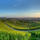 An Einem Sommerabend in Weinbergen (1)