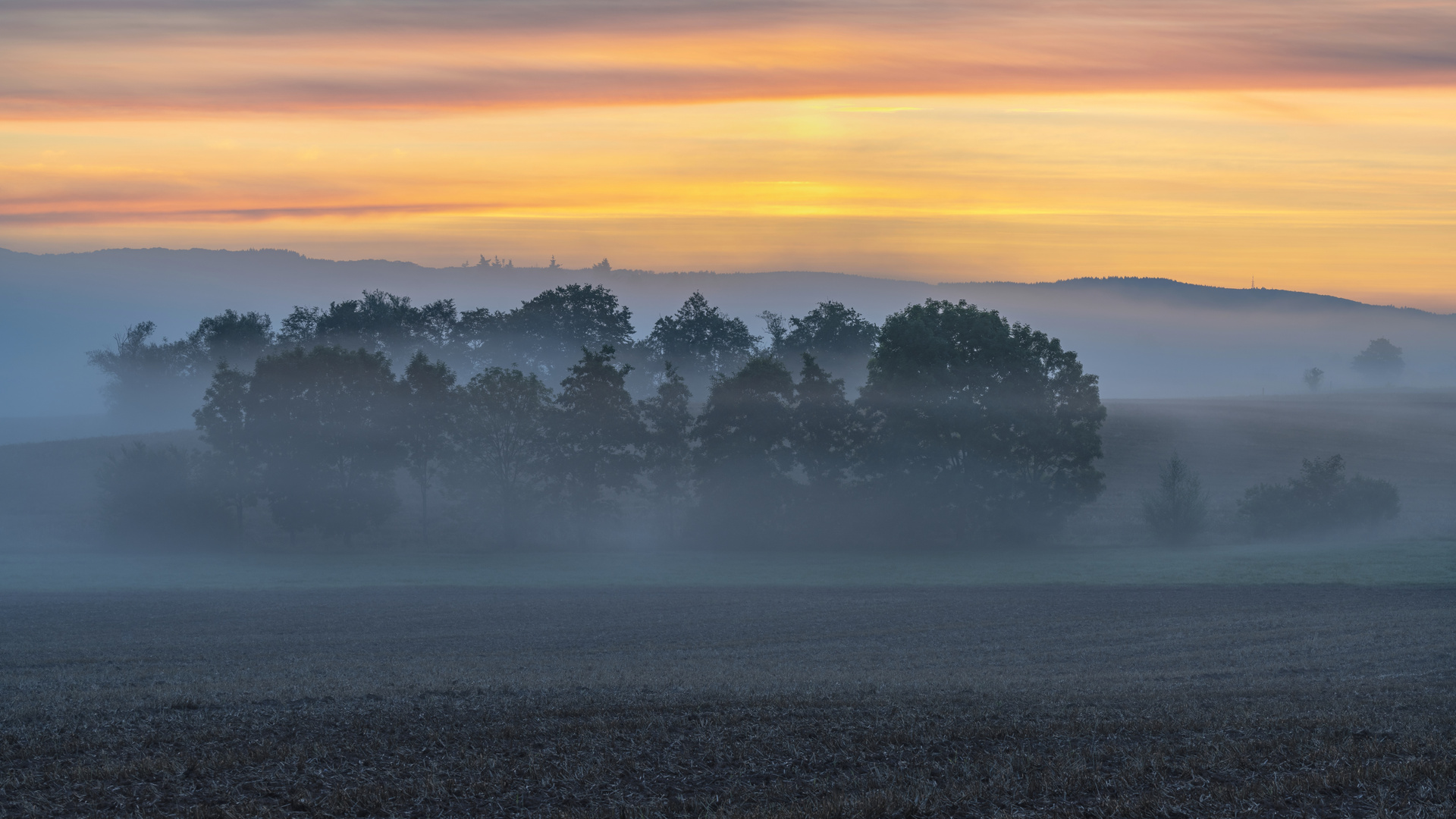 *an einem Sommermorgen im Tal*