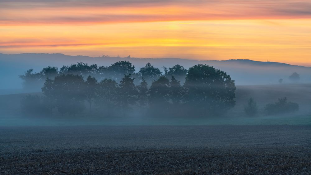 *an einem Sommermorgen im Tal*