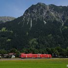 An einem Sommertag im Allgäu (1)