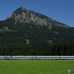 An einem Sommertag im Allgäu (2)