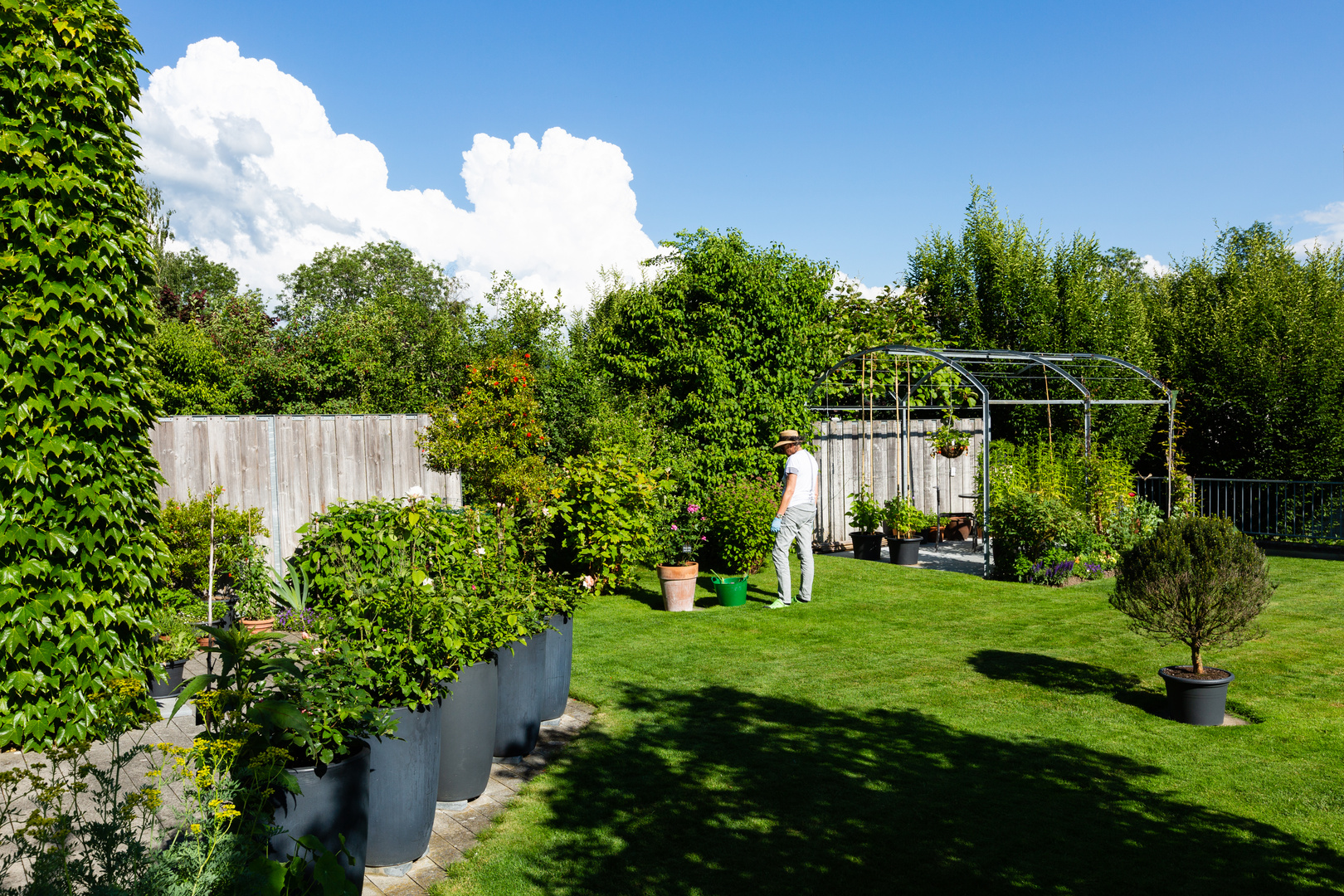 An einem Sommertag - wenn die Arbeit im Garten Freude macht 