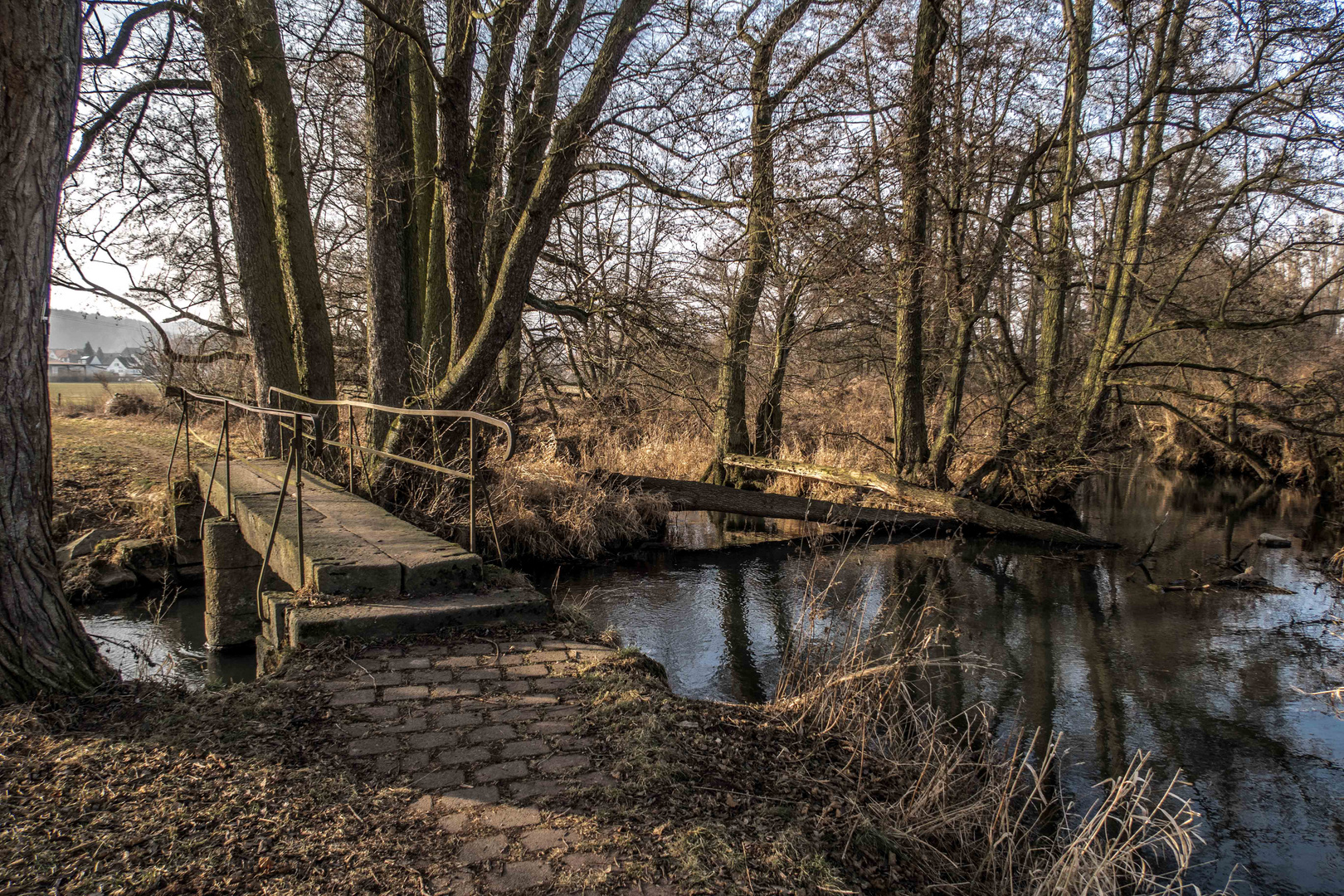 ... an einem sonnigen aber kalten Sonntag an der Schwalm ...