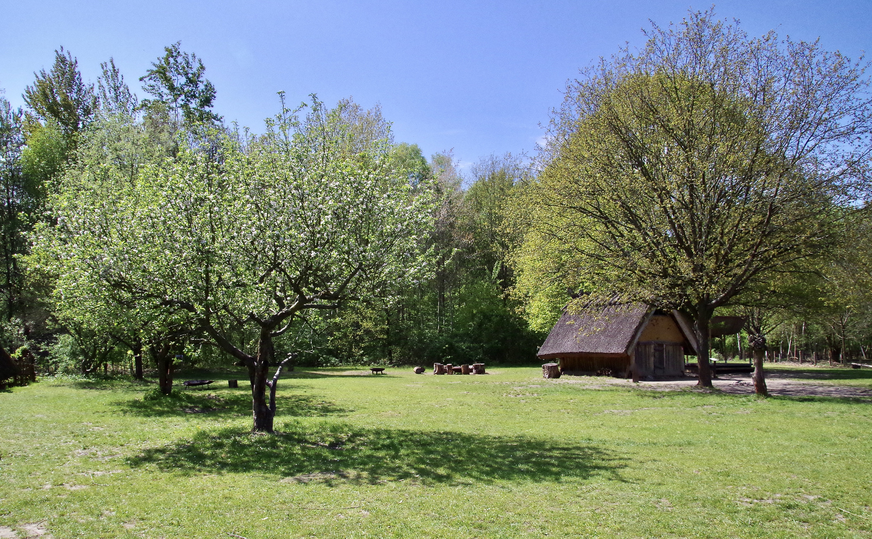 An einem sonnigen Frühlingstag….