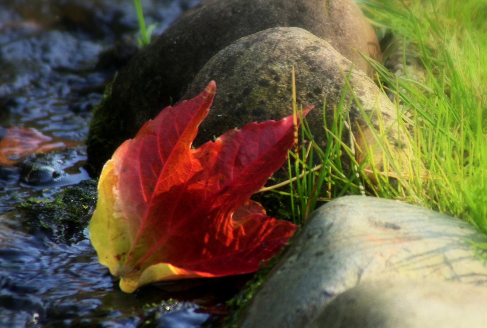 An einem sonnigen Herbsttag....