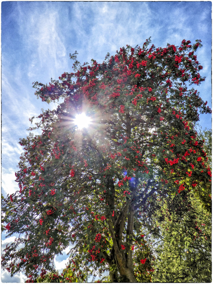 AN EINEM SONNIGEN NACHMITTAG.....