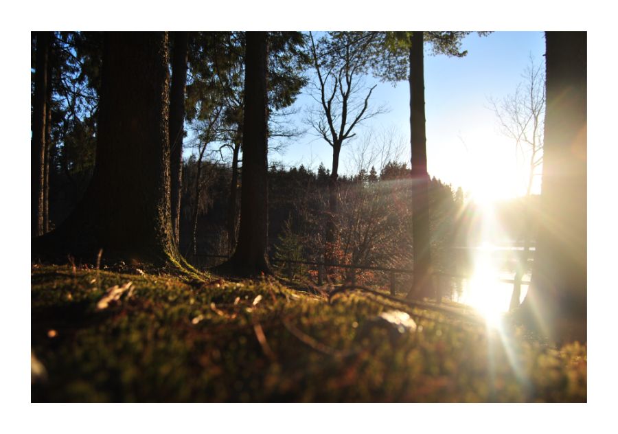 An einem sonnigen Nachmittag im März