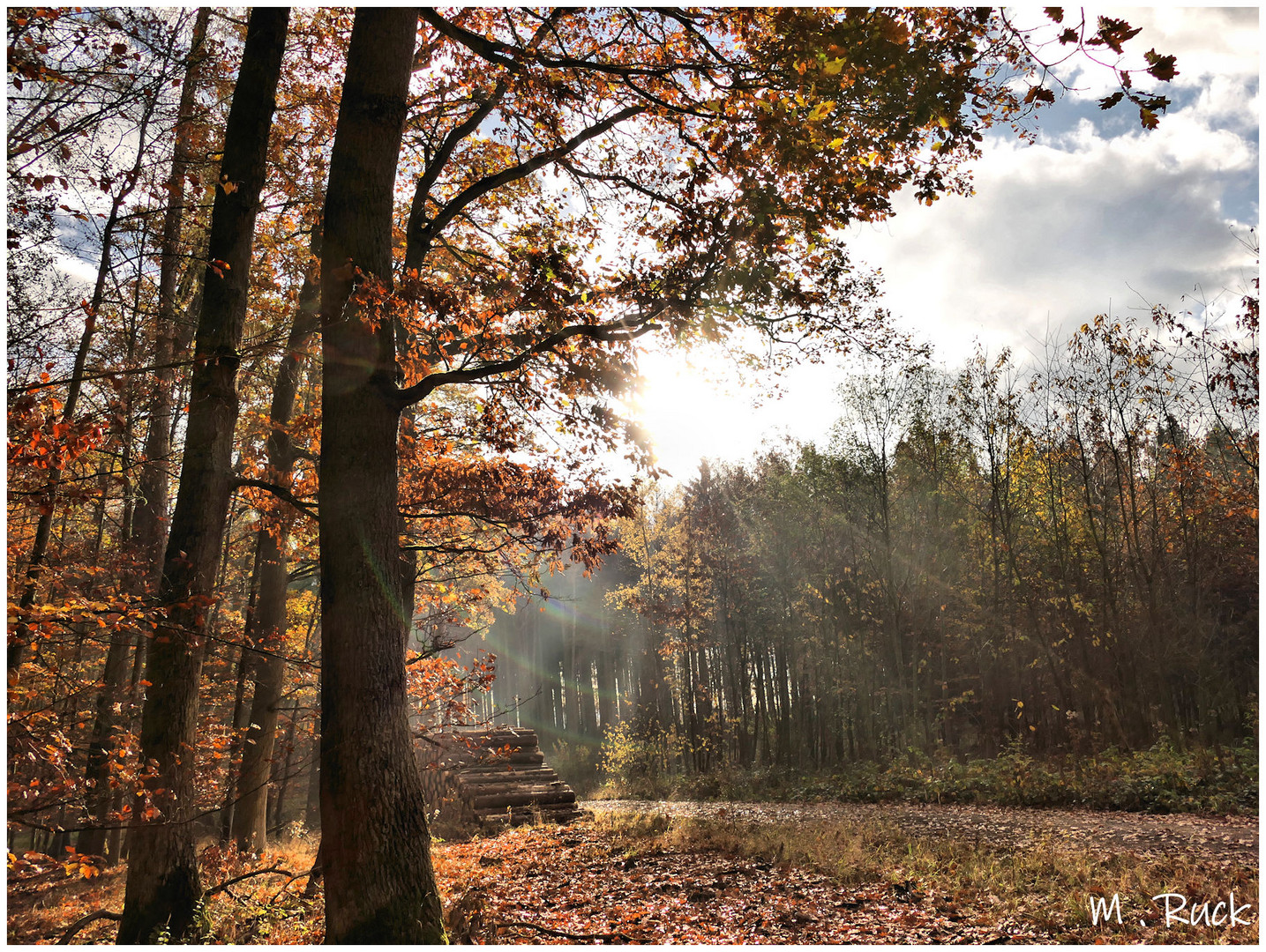 An einem sonnigen Novembertag ,