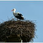 An einem sonnigen Sonntag im April