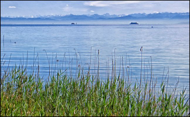 AN EINEM SONNIGEN TAG....