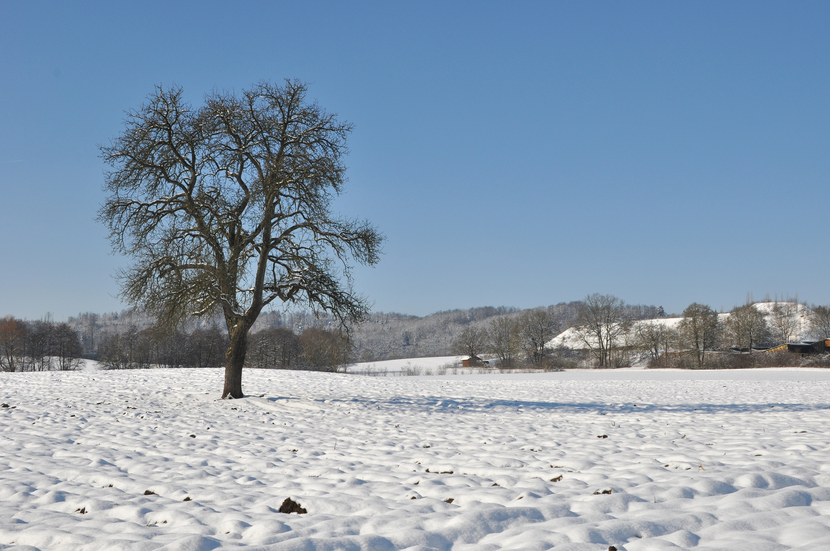 An einem sonnigen Wintertag