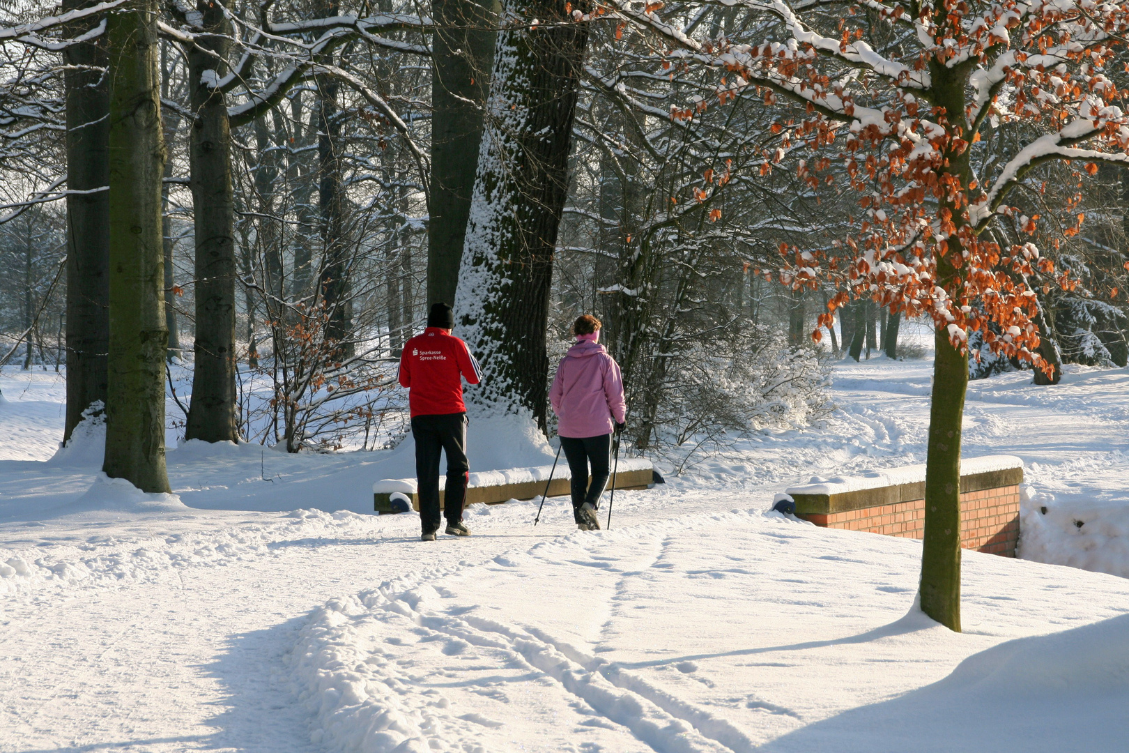 An einem sonnigen Wintertag im Branitzer Park bei Cottbus