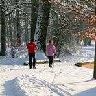 An einem sonnigen Wintertag im Branitzer Park bei Cottbus