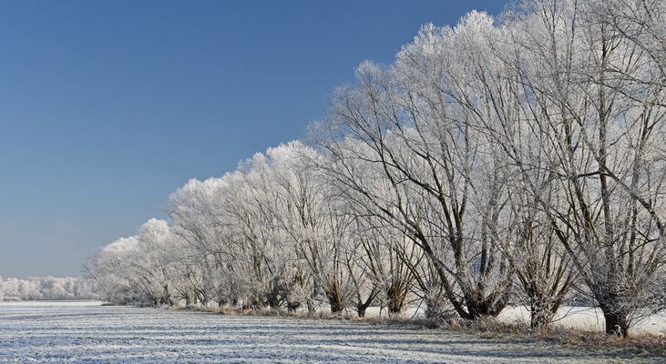 An einem sonnigen Wintertag im Januar.....