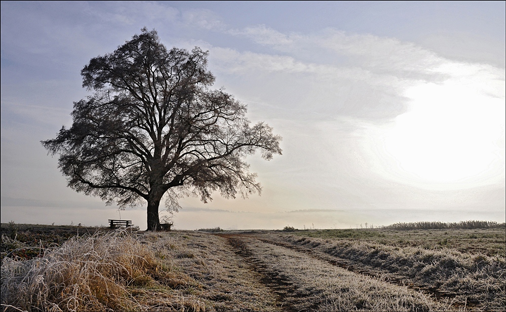 an einem Spätherbst Morgen