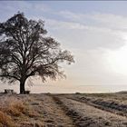 an einem Spätherbst Morgen