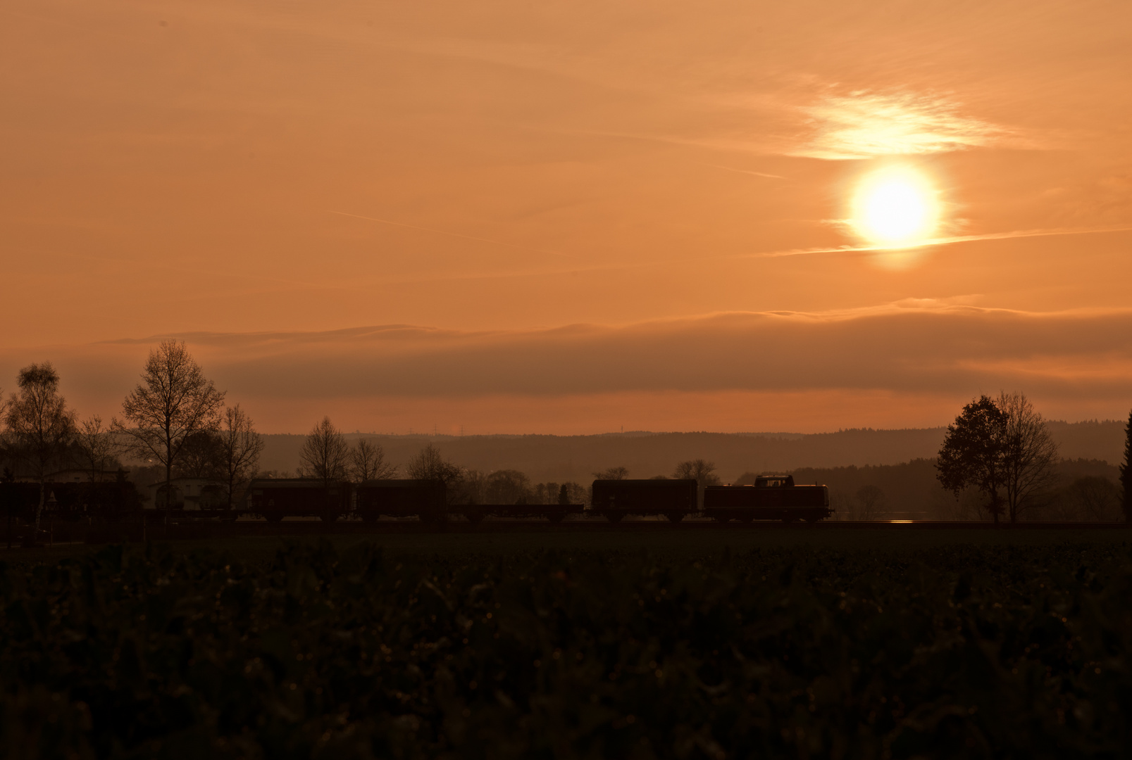 An einem stillen Frühlingsmorgen...