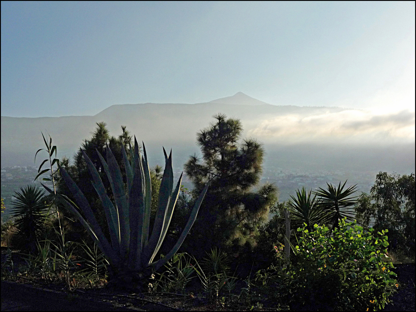 AN EINEM STRAHLEND SCHÖNEN TAG IM JANUAR... Foto & Bild europe, canary islands die kanaren