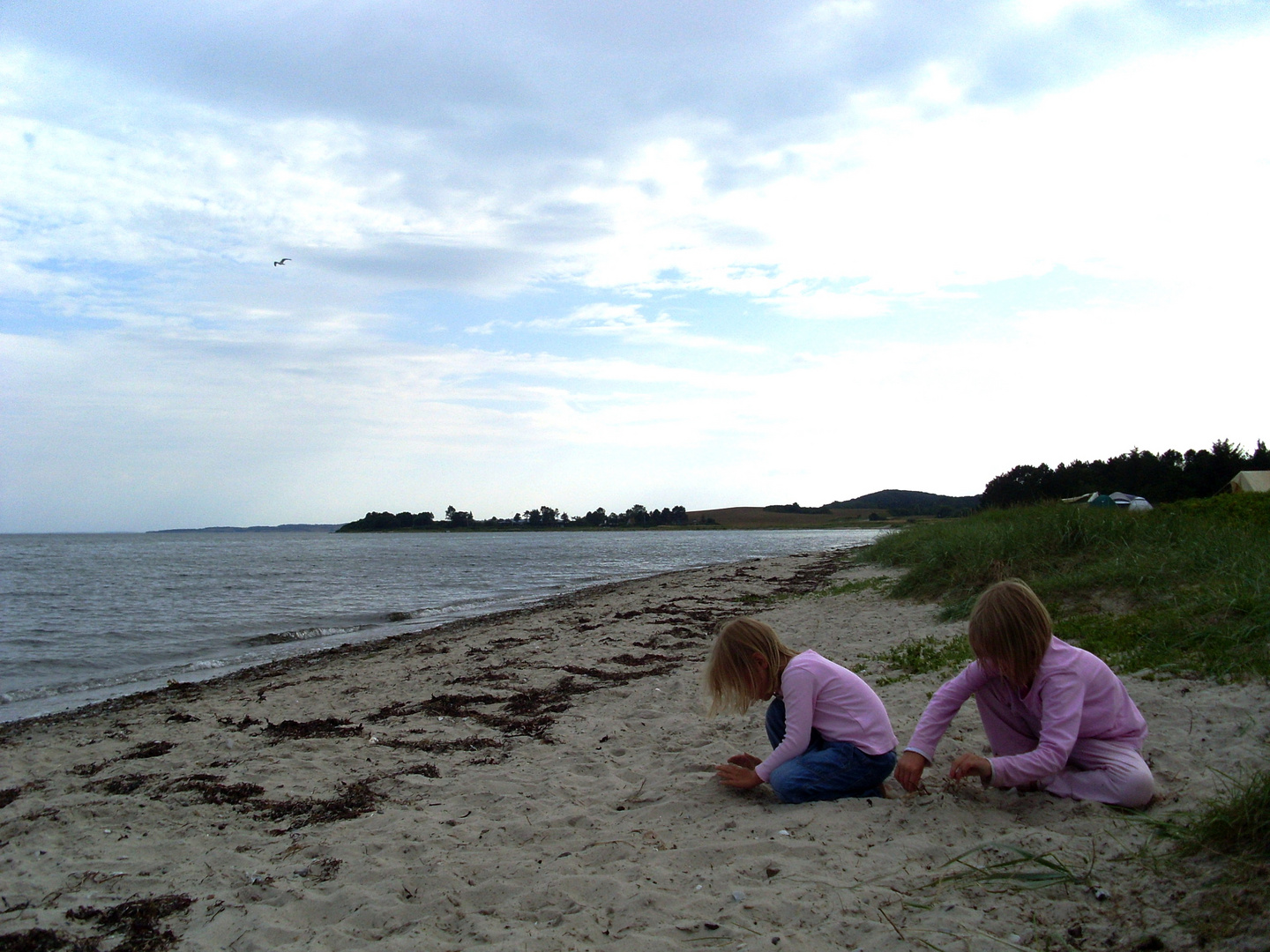 An einem Strand in Dänemark