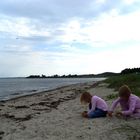 An einem Strand in Dänemark