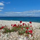 An einem Strand in Griechenland