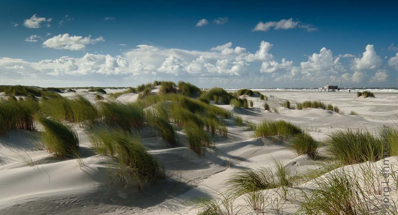 An einem Tag am Meer... Foto & Bild europe, benelux, netherlands Bilder auf