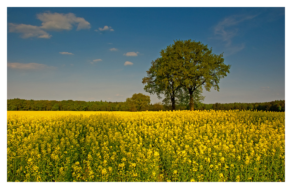 An einem Tag im April