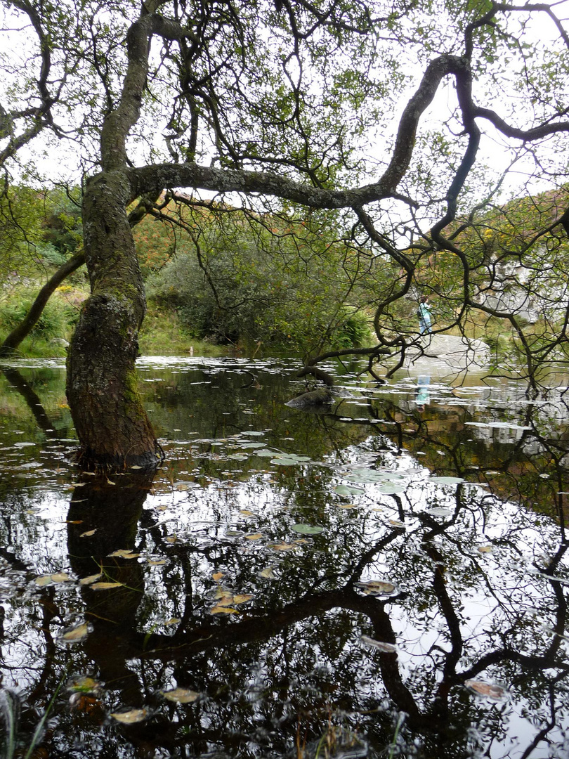 An einem Teich