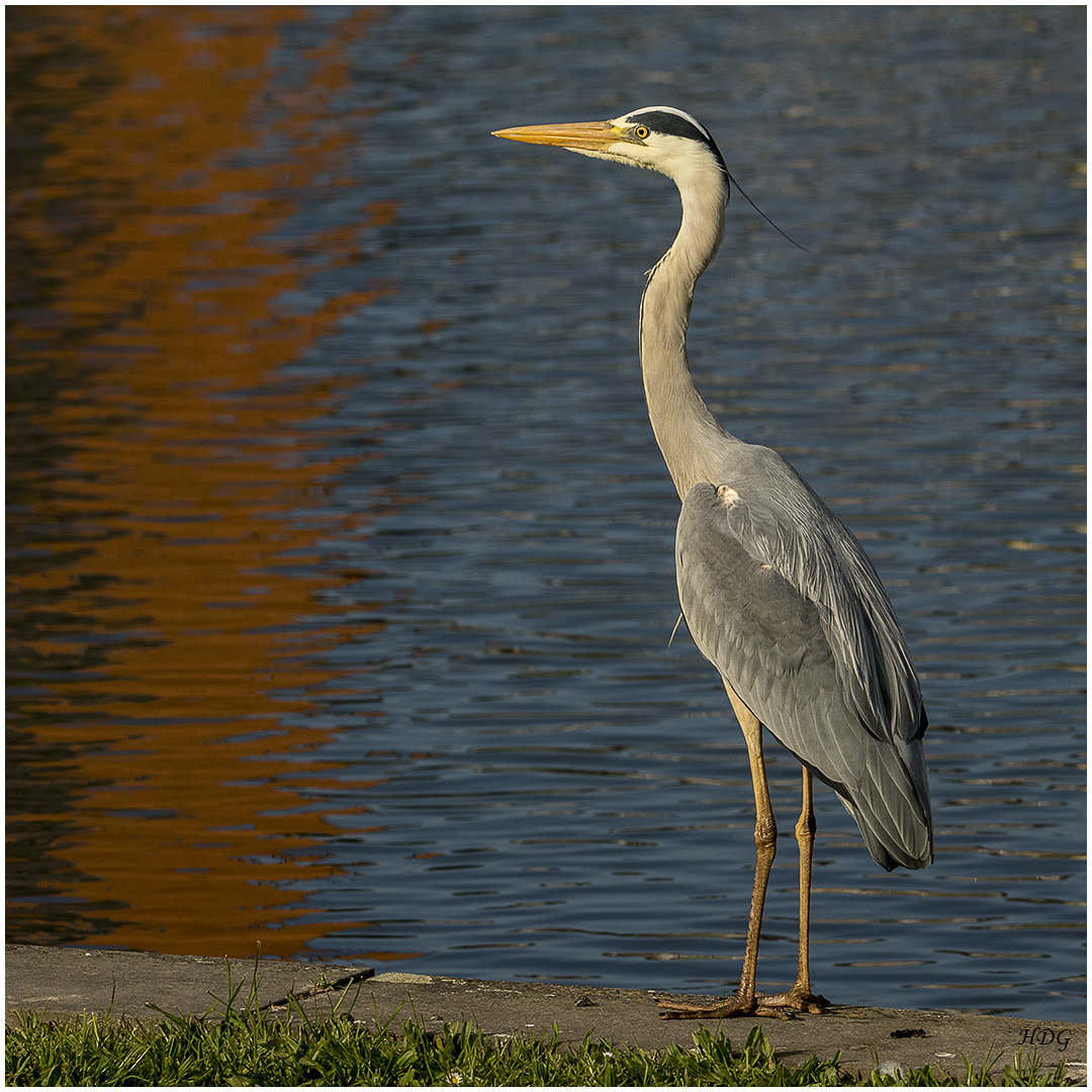 An einem Teich ...