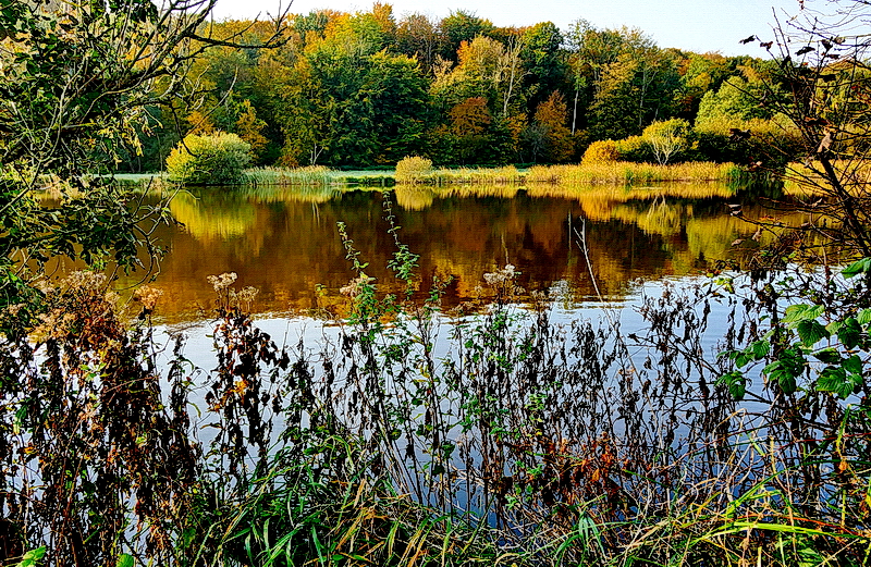 An einem Teich im Muttland...