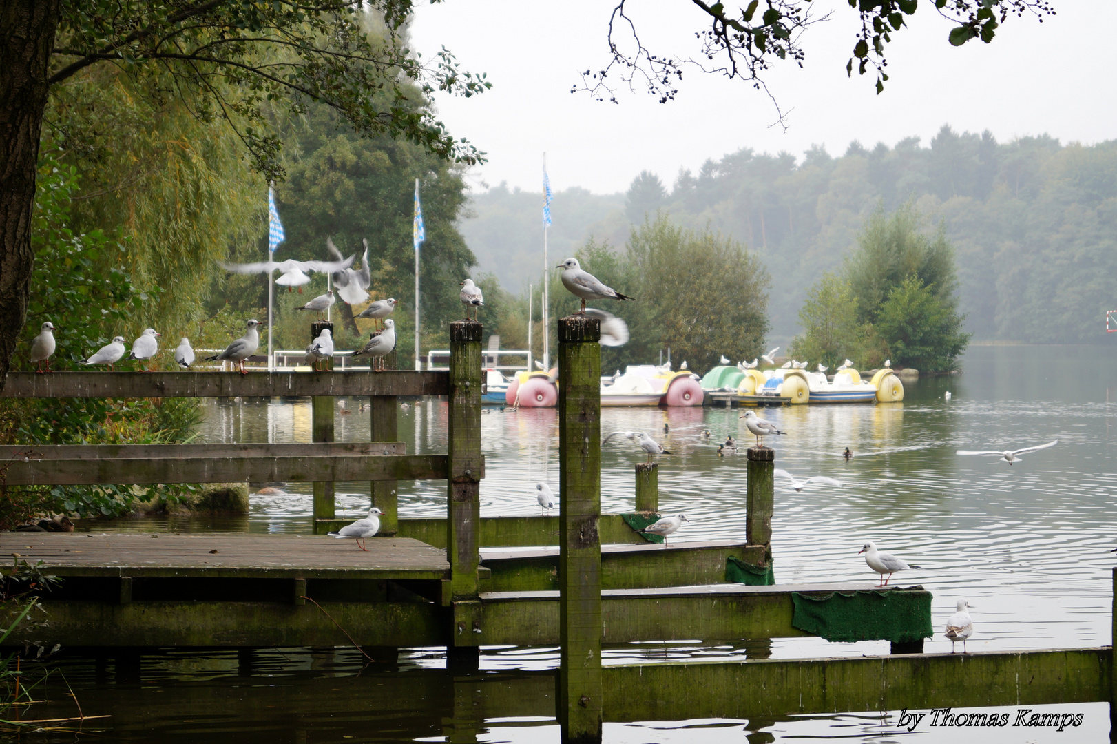 An einem trüben Herbst morgen am Außenmühlenteich.