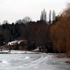 An einem trüben Wintertag im Kurpark Oberlaa