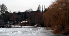 An einem trüben Wintertag im Kurpark Oberlaa