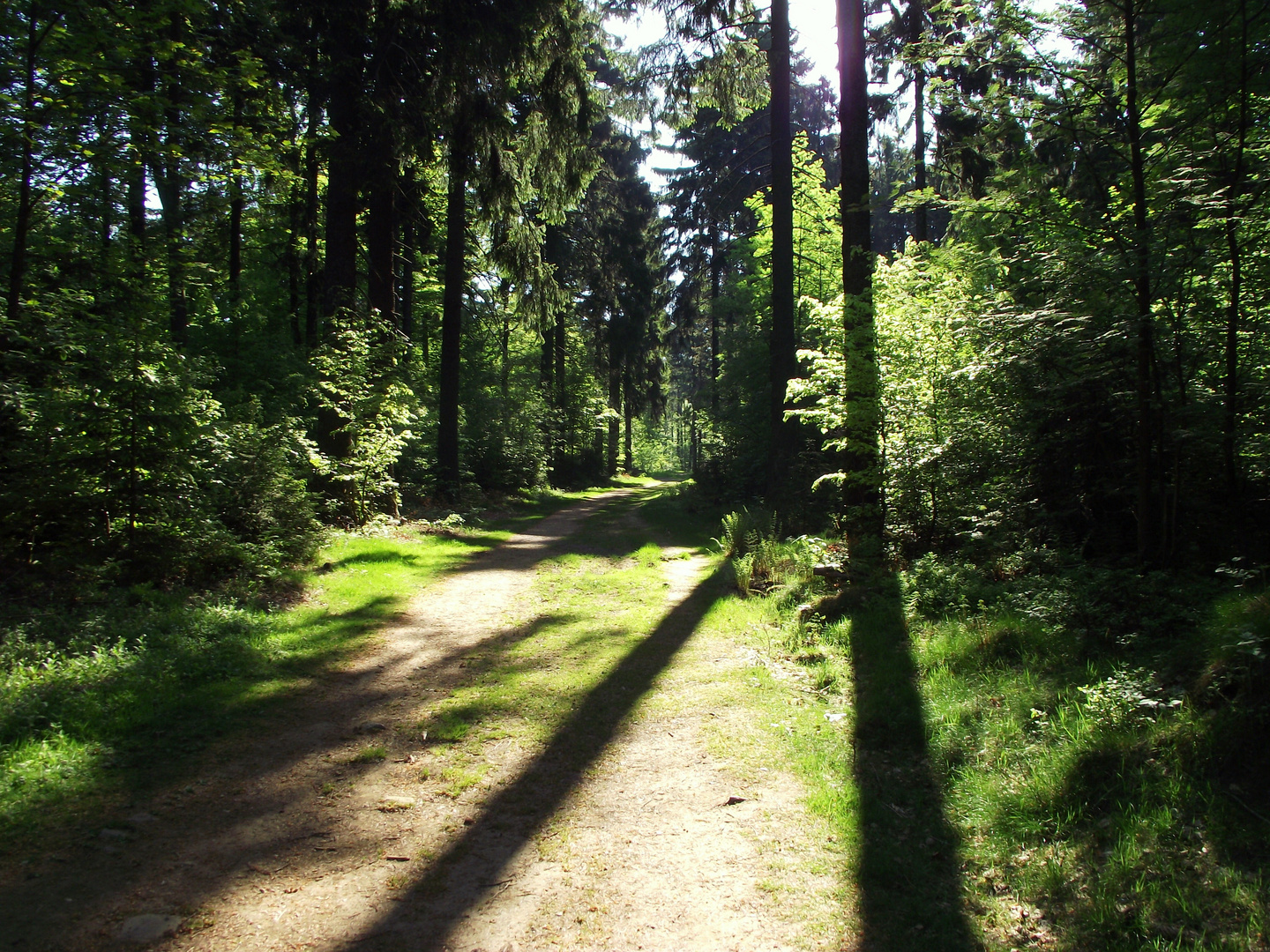 An einem warmen Frühlingsmorgen