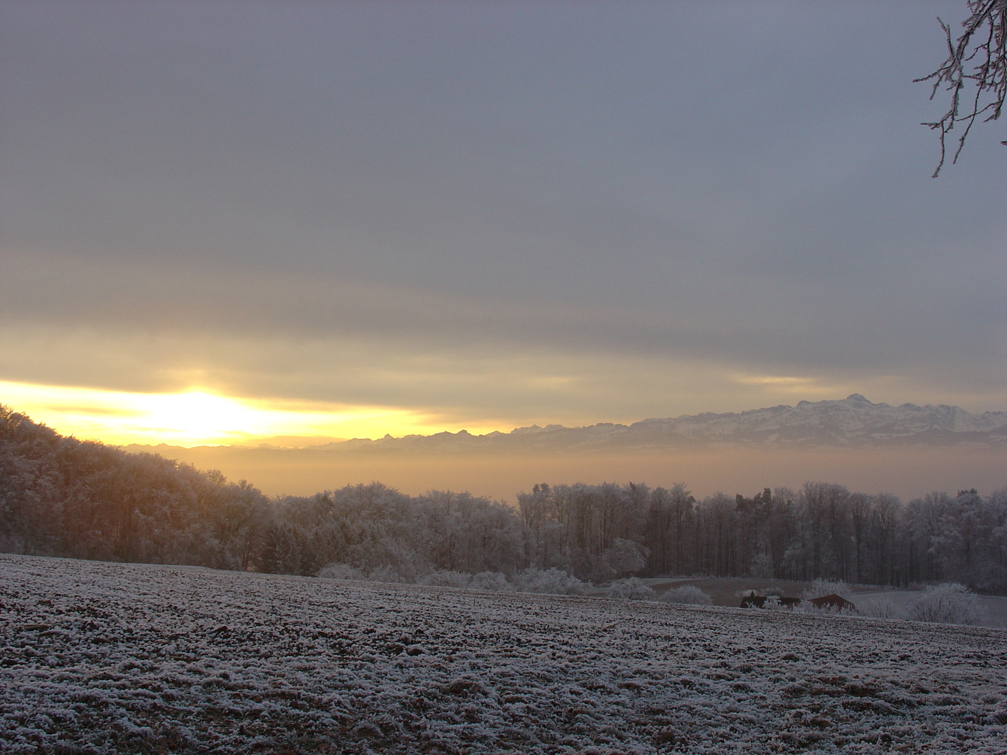 An einem Wintermorgen