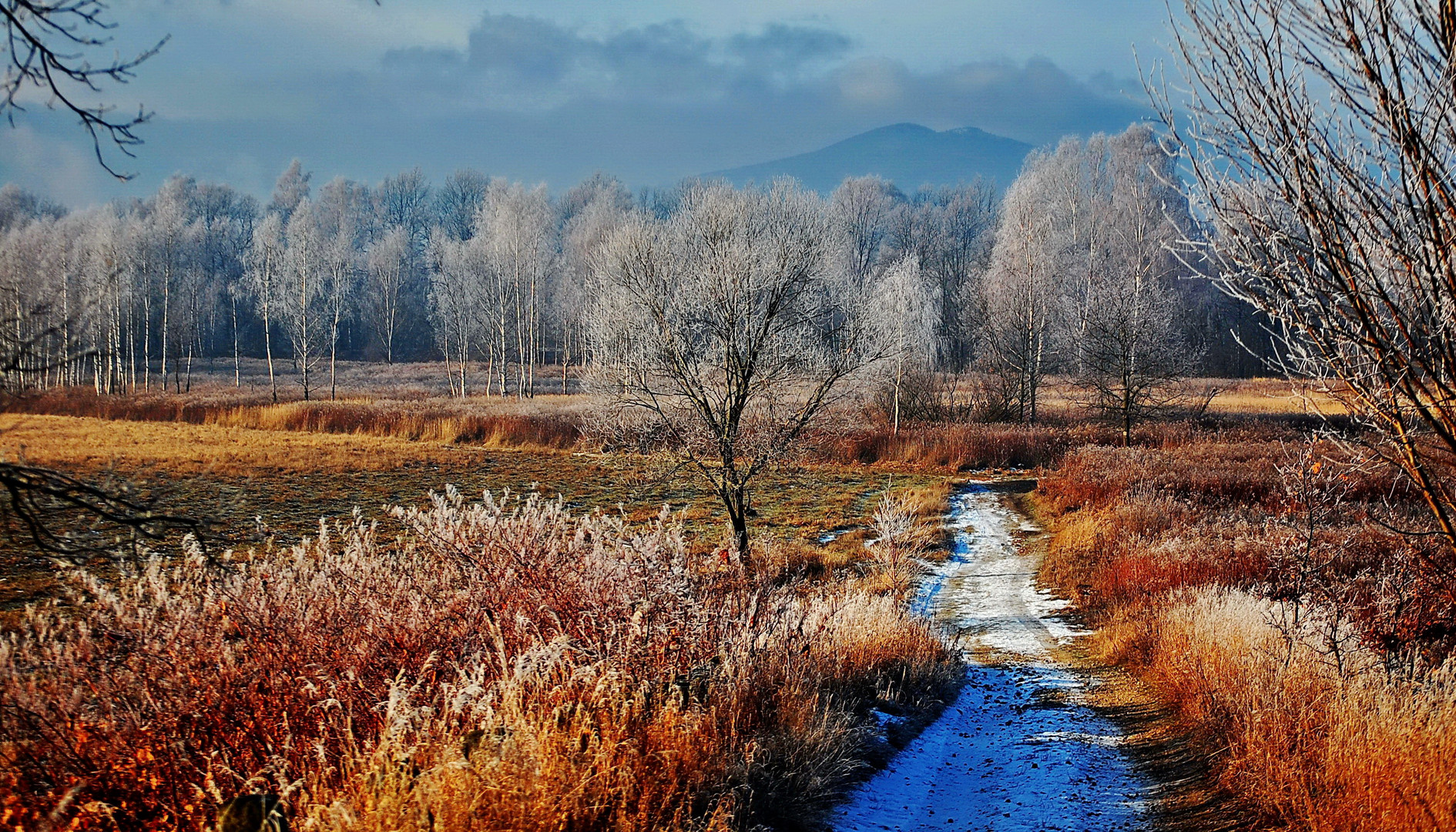 An einem Wintermorgen