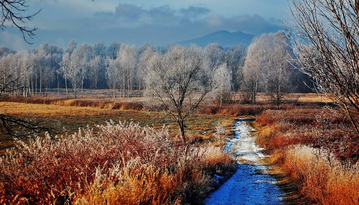 An einem Wintermorgen