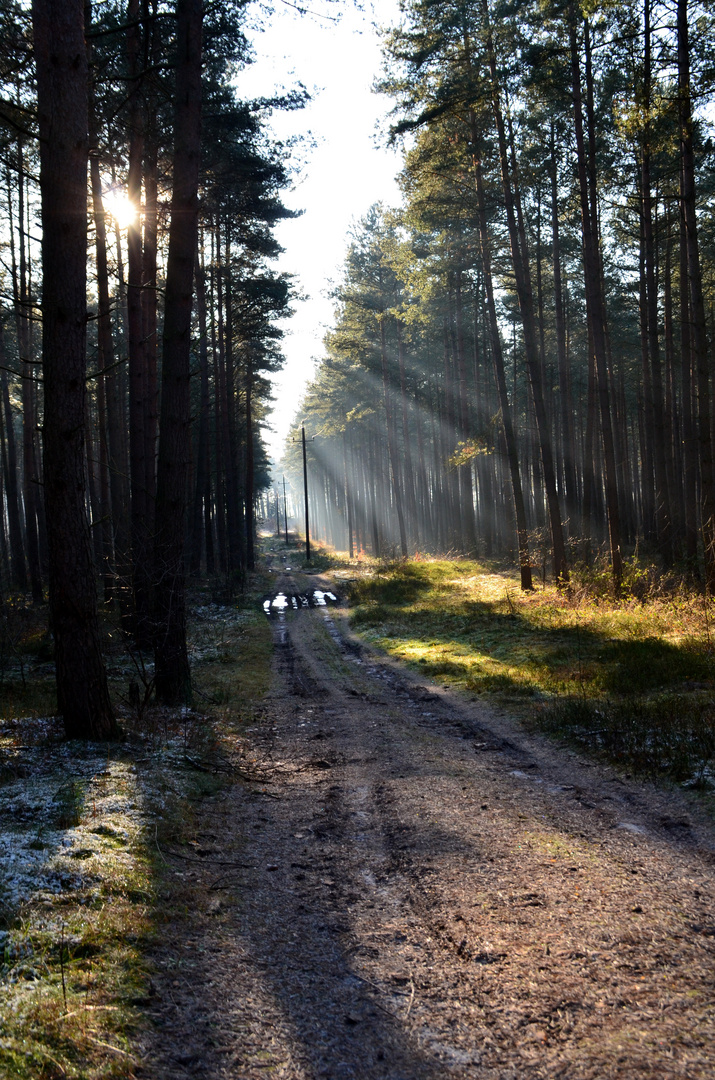 An einem Wintermorgen...