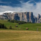 An einem wunderbaren September Morgen auf der Seiser Alm ...